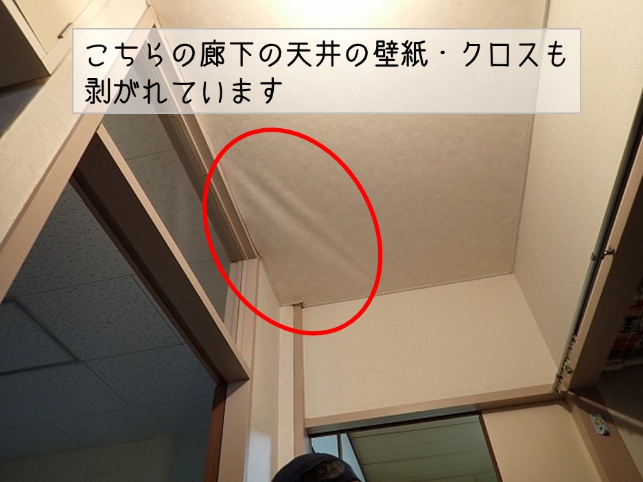 呉市　アパート折半屋根　雨漏り調査 玄関　天井クロス剥がれ